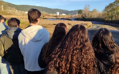 First Civil Society Engagement Activity “Saltmarsh as a laboratory” has been launched at the Lima Estuary Demosite